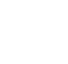 V3 Electric logo