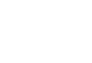 Pell Solar logo