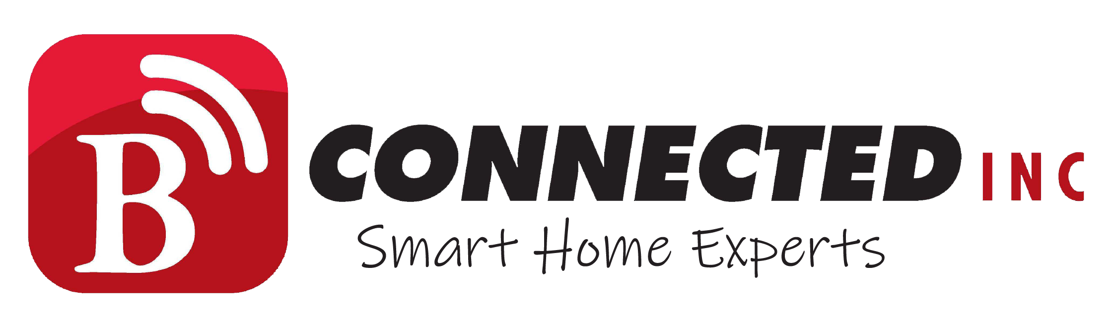 B connect official logo with no background